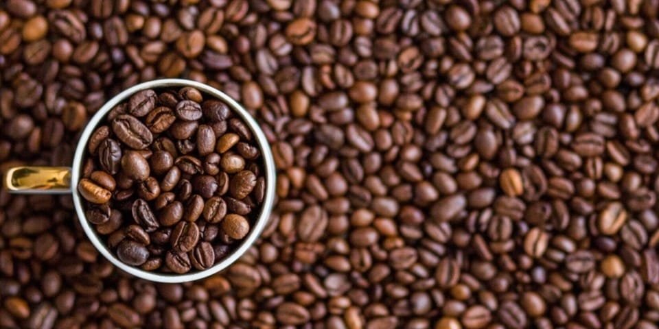 café e skincare